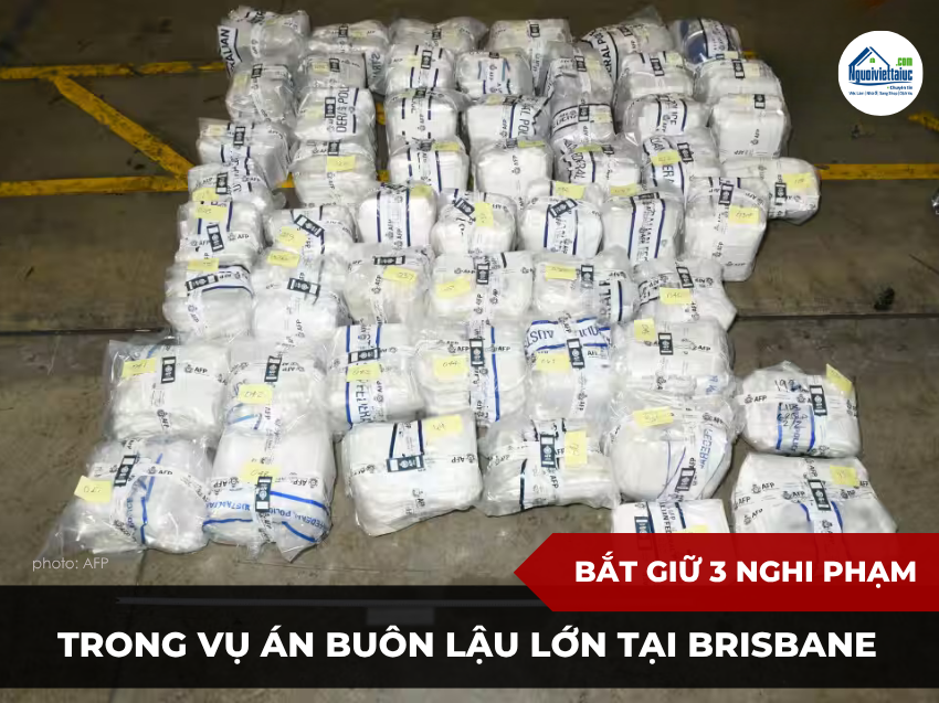 Phát hiện lô hàng chứa chất cấm trị giá hàng trăm triệu đô